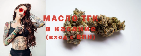 твердый Осинники